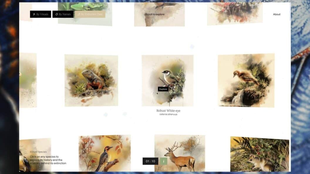 100 Vanished Species, Stunning Photos and the Urgent Stories Behind Their Loss