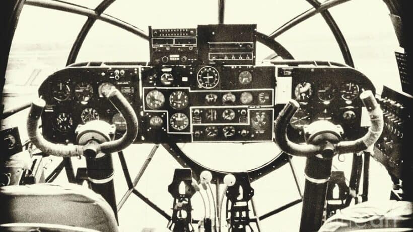 Branding That Sticks, Design Rooted in the Human Mind