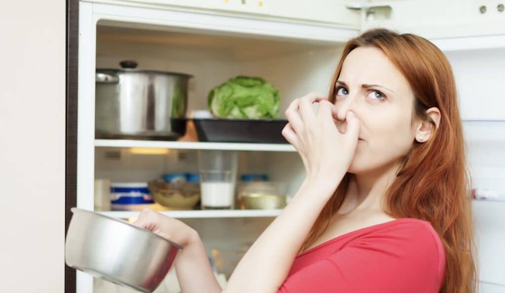 Fridge UX Case Study, 6 Design Decisions That Made Users Love the Product