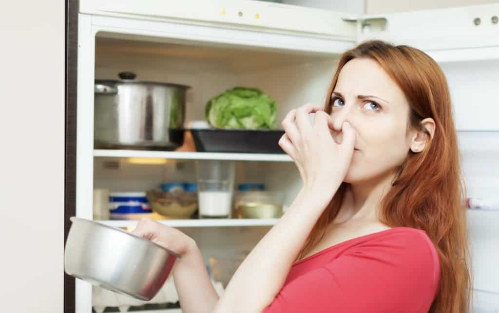 Fridge UX Case Study, 6 Design Decisions That Made Users Love the Product