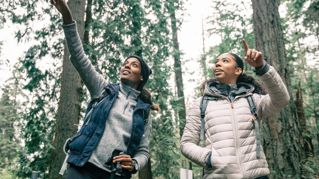 Staff designers trade polish for leverage, building systems, teams, and lasting impact