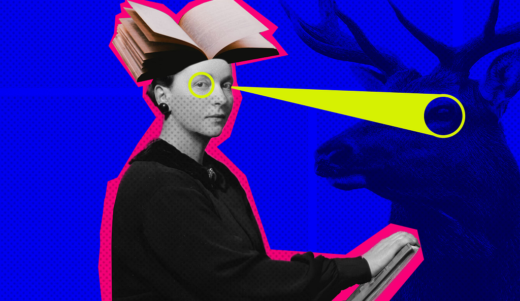 How Book Covers Connect Audiences, Designing for Reader Relationships and Loyalty