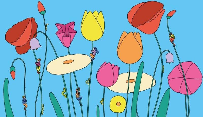 Sour Soda Studio's naturally refreshing visual language, vibrant branding with effortless charm