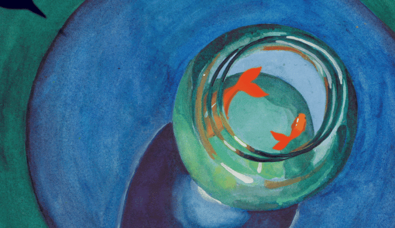 Step into Cecilia Reeve's kinetic paintings, immersive animations you can explore