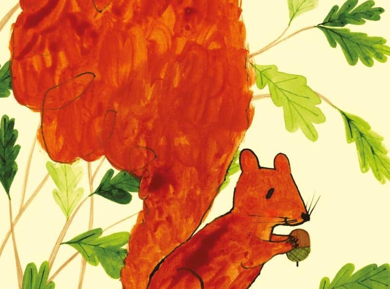 Top Children's Illustrators Join Nature Charity Exhibition, Meet Artists and Support Wildlife