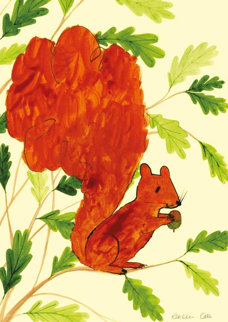 Top Children's Illustrators Join Nature Charity Exhibition, Meet Artists and Support Wildlife
