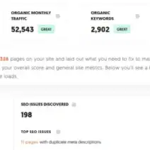 SEO Audit Blueprint, Step-by-Step Website Review with Priority Fixes to Boost Traffic