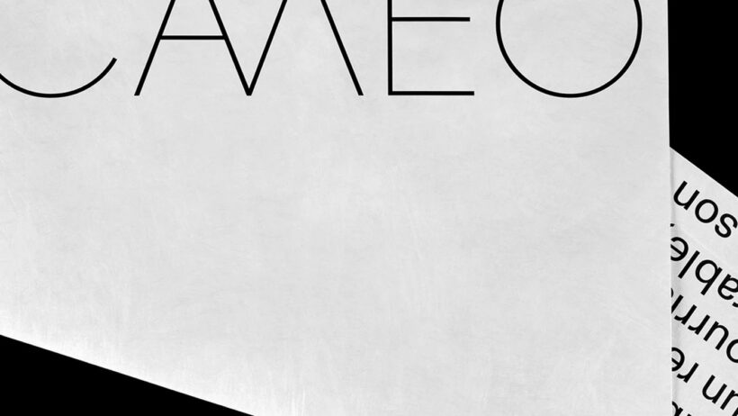 CAMEO Brand Identity, Paprika Design's bold, memorable visual system