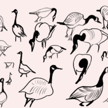 Design leadership for the swarm era, scale creative impact with flock-driven teams