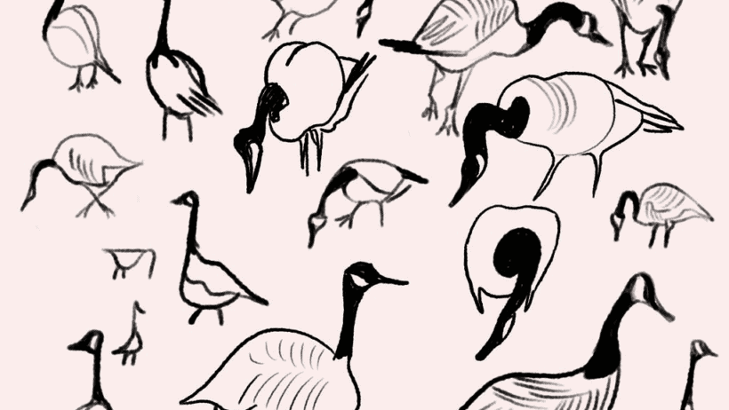 Design leadership for the swarm era, scale creative impact with flock-driven teams