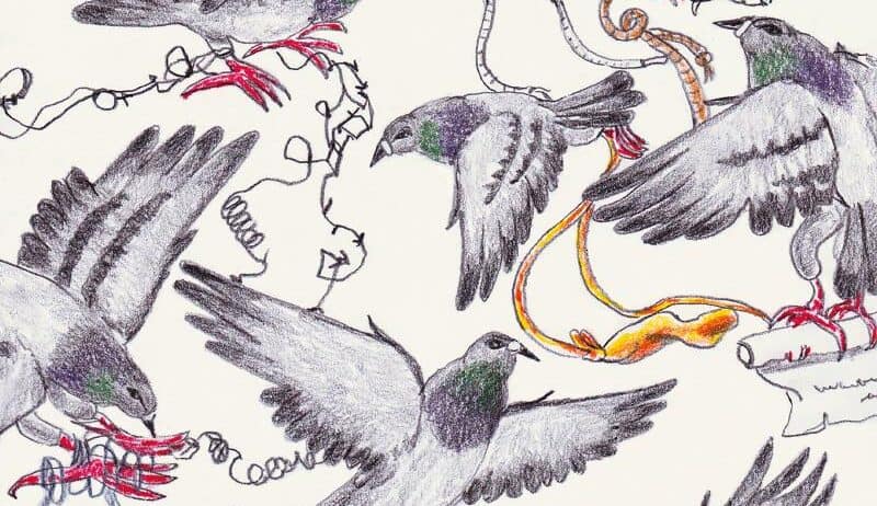 Gaia Alari on how dogs inspire her wobbly, tactile drawings of animals, bodies and emotions