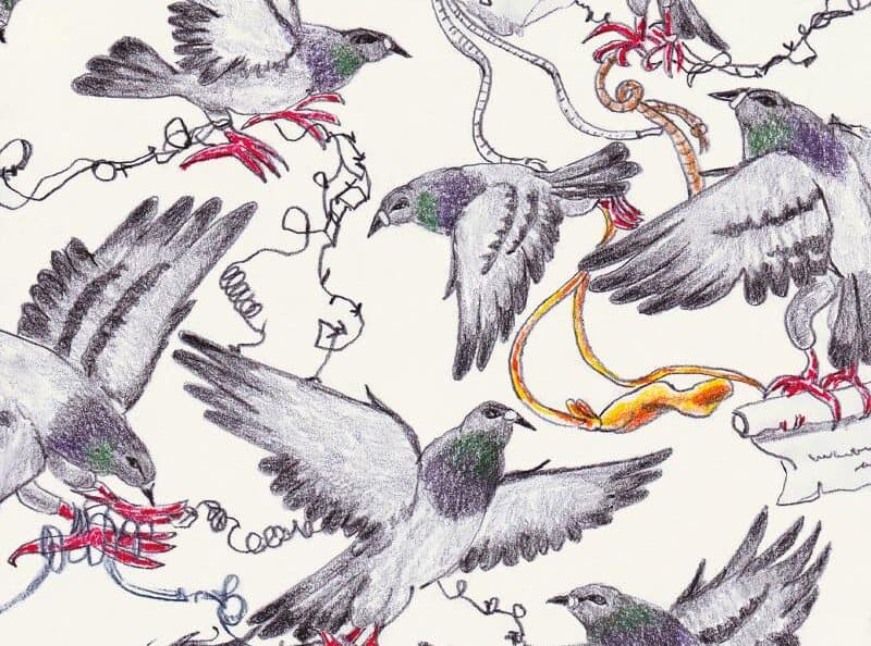 Gaia Alari on how dogs inspire her wobbly, tactile drawings of animals, bodies and emotions