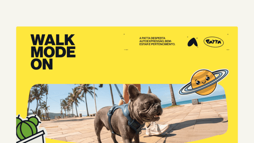 Patta Visual Identity Playbook, Expertly Curated Expressive Branding System