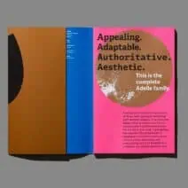 Tereza Bettinardi's Adelle Constellation, A Bold Take on Typeface Design