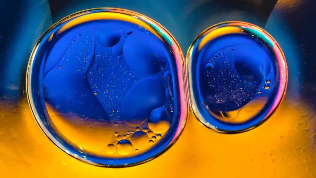 Why Smart Brands Double Down on Fundamentals Even as AI Dominates, Unlock Real Growth