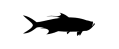 Bucket List Fishing Trips
