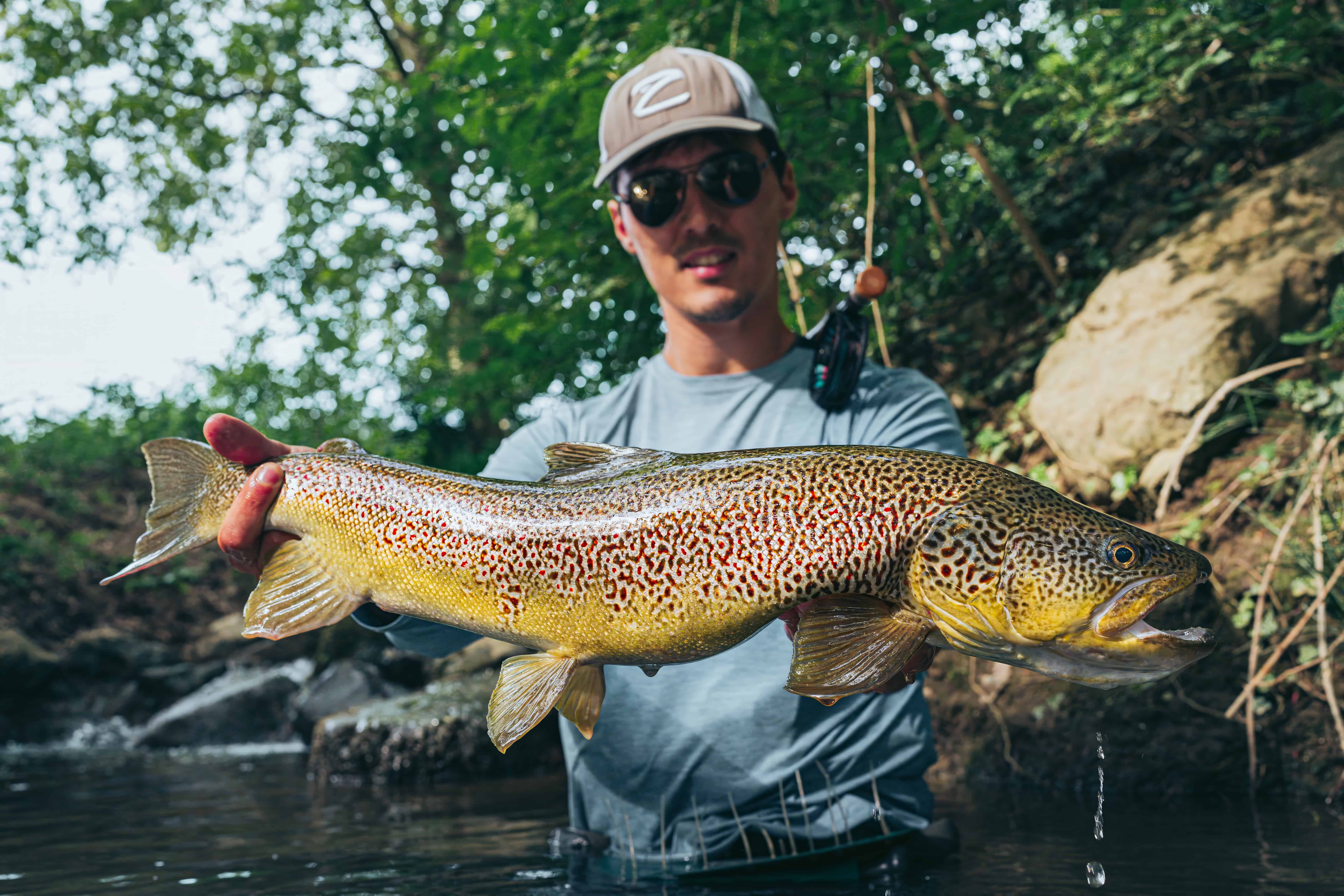 angler holding beautiful marble trout in slovenia