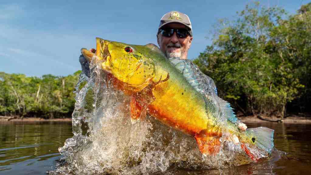 Peacock Bass fishing in the Amazon