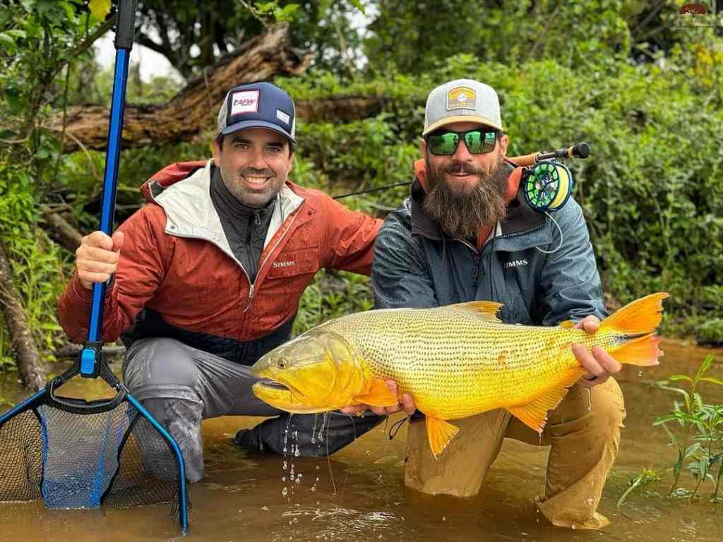Golden Dorado Don Joaquin River Lodge Argentina