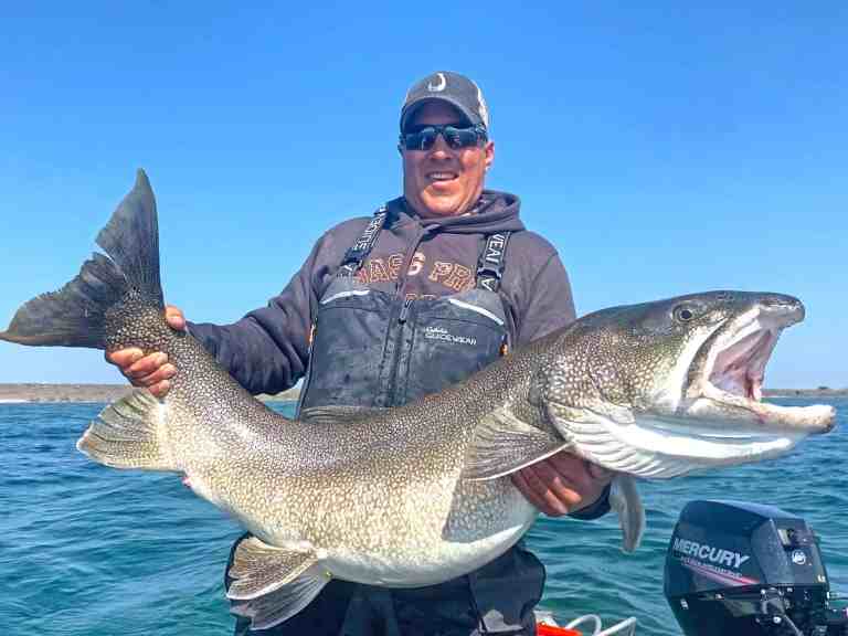 Lake Trout caught at great bear lake in canada