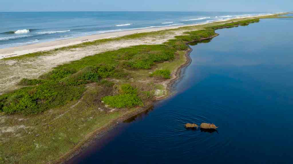 Loango National Park Gabon