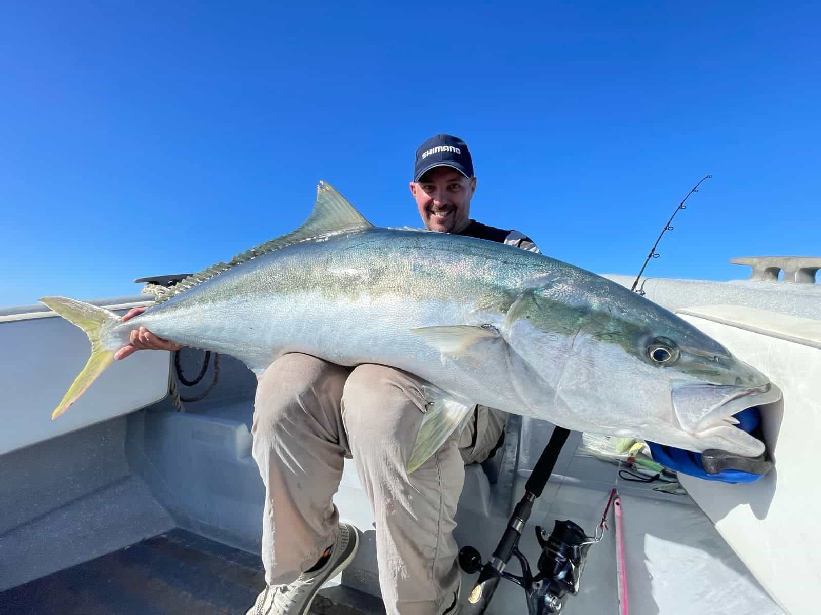 Yellowtail Kingfish caught in Robinson Crusoe Island Chile
