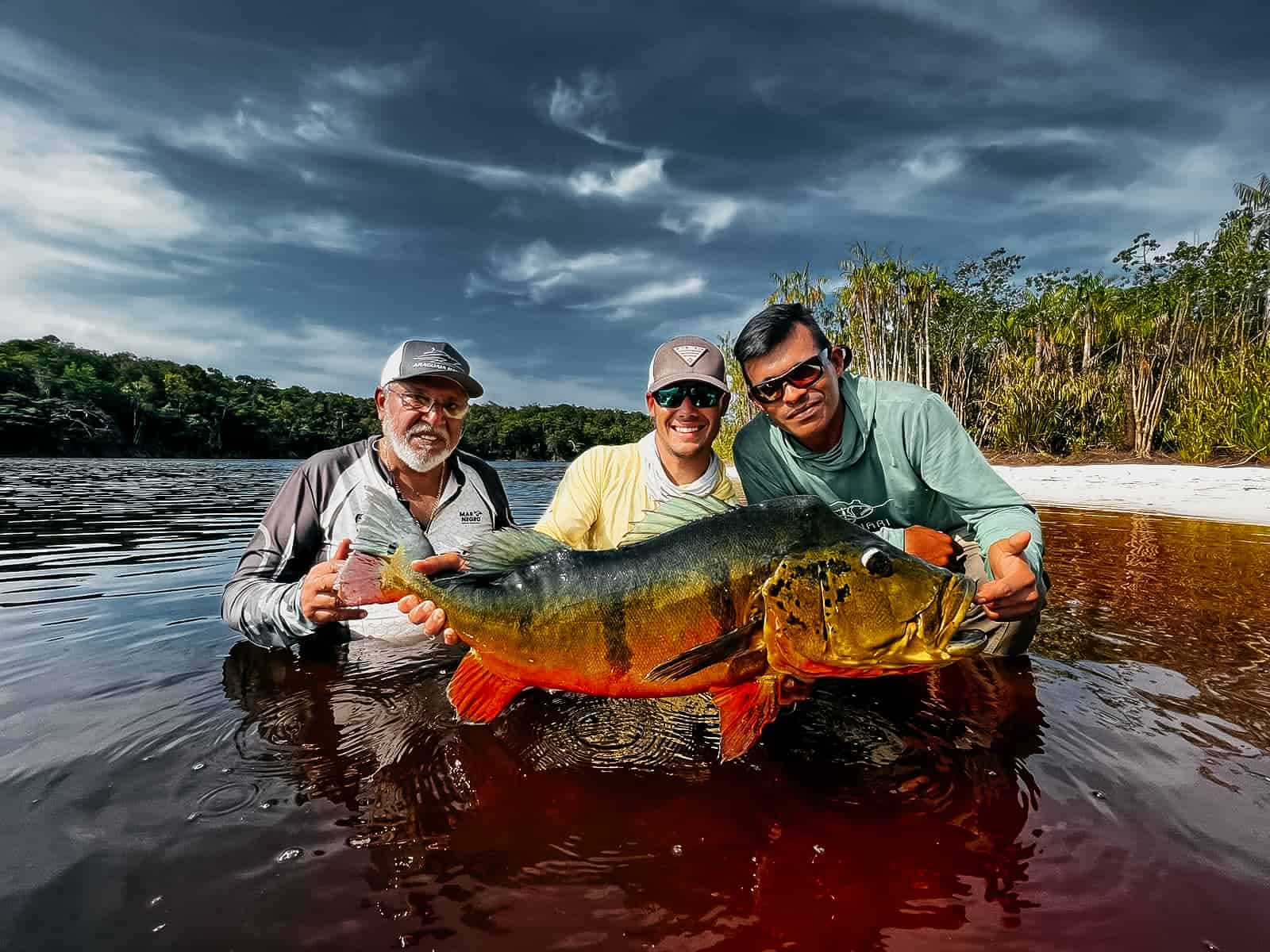 Curicuriari Peacock Bass Fishing