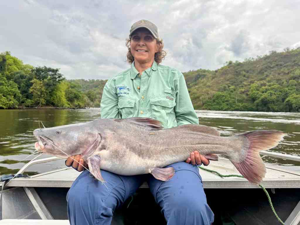 Semutundu Catfish Murchison Falls