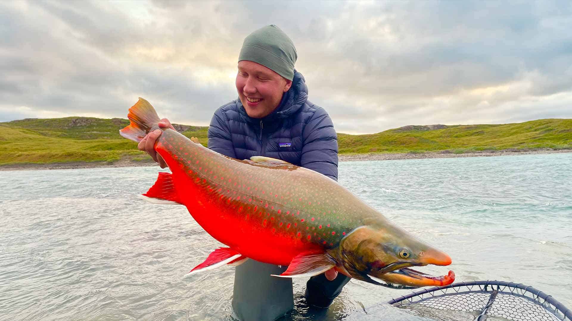 Tree River Arctic Char