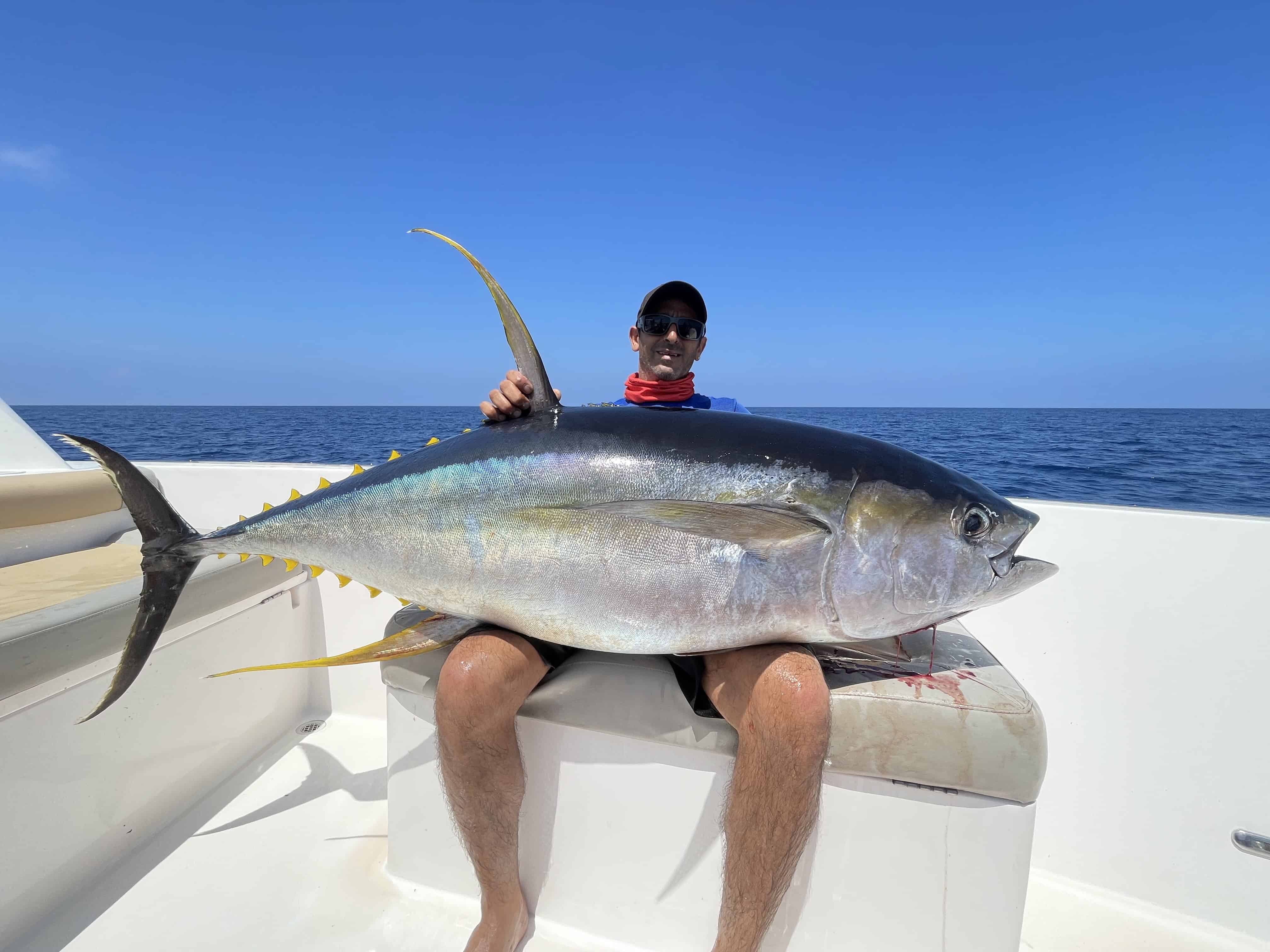 Yellowfin Tuna Fishing Praslin Seychelles