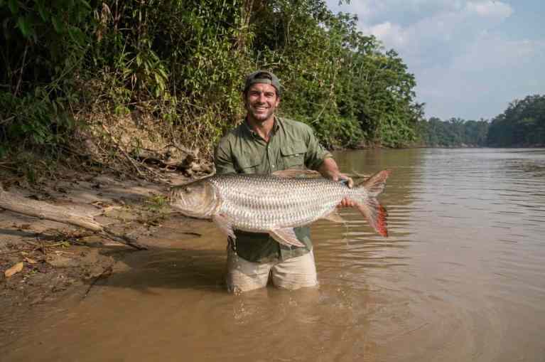 Congo River Goliath Tigerfish