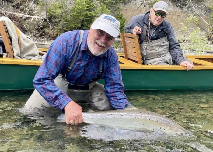 angler releasing a salmon in the bonaventure river