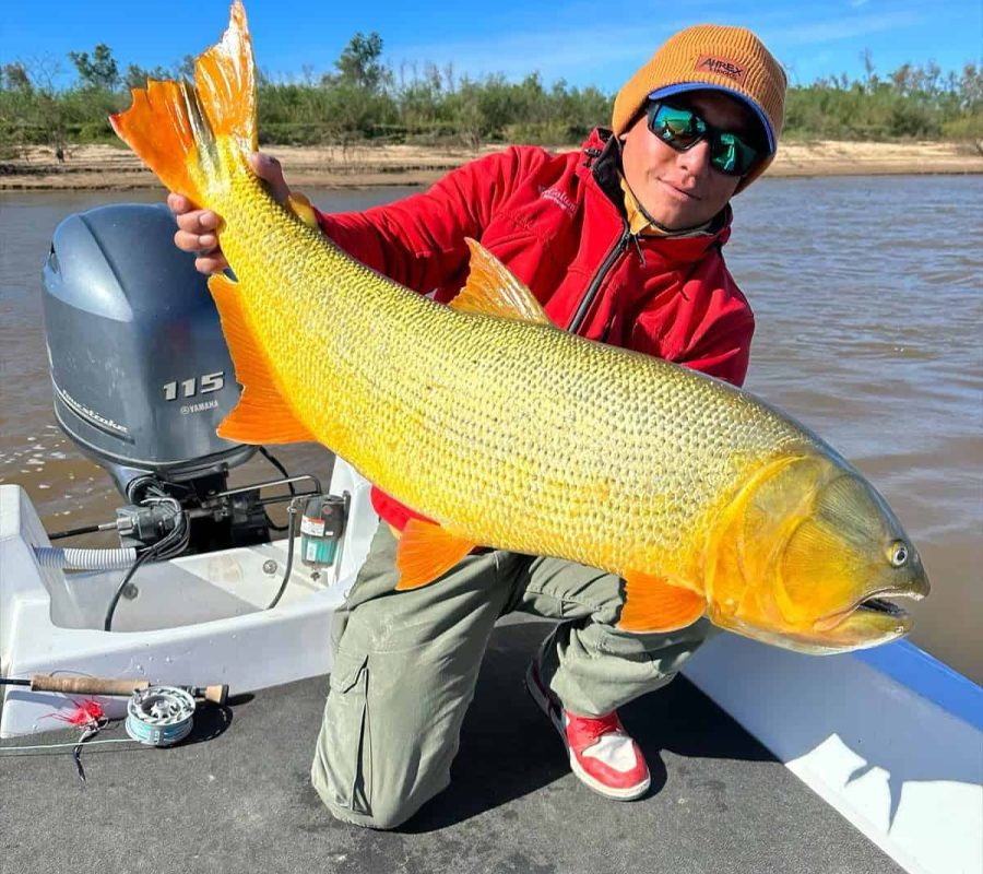 Golden Dorado - Don Joaquín River Lodge