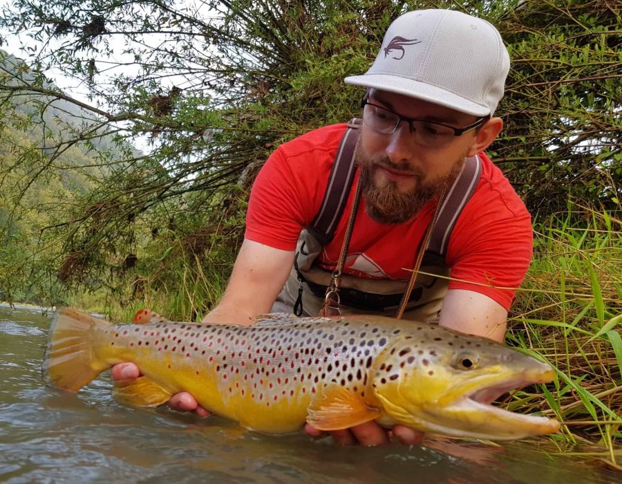brown trout fly fishing poland