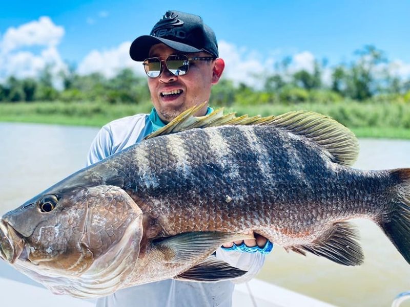 angler holding stunning papuan black bass