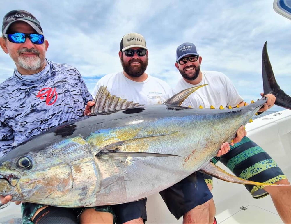 yellowfin tuna fishing in chiriqui national marine park