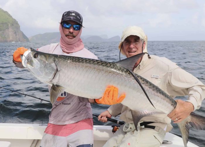 big fish caught while tarpon fishing in trinidad