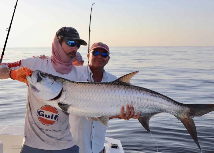 tarpon fishing trinidad and tobago