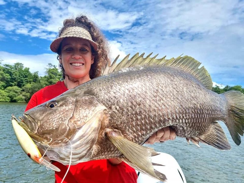 papuan black bass caught by angler in papua new guinea