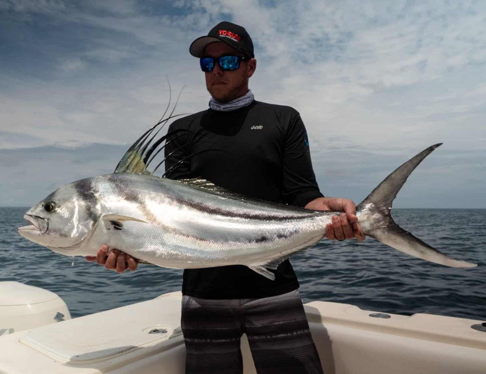 roosterfish caught in chiriqui panama