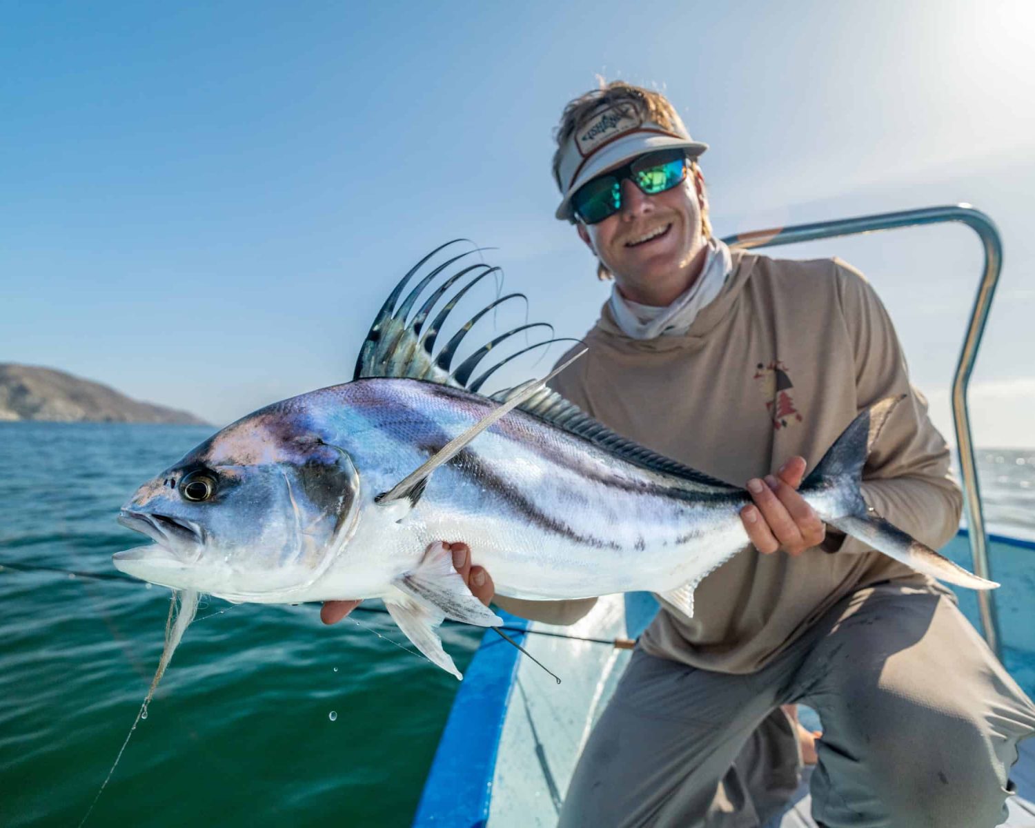 baja roosterfish
