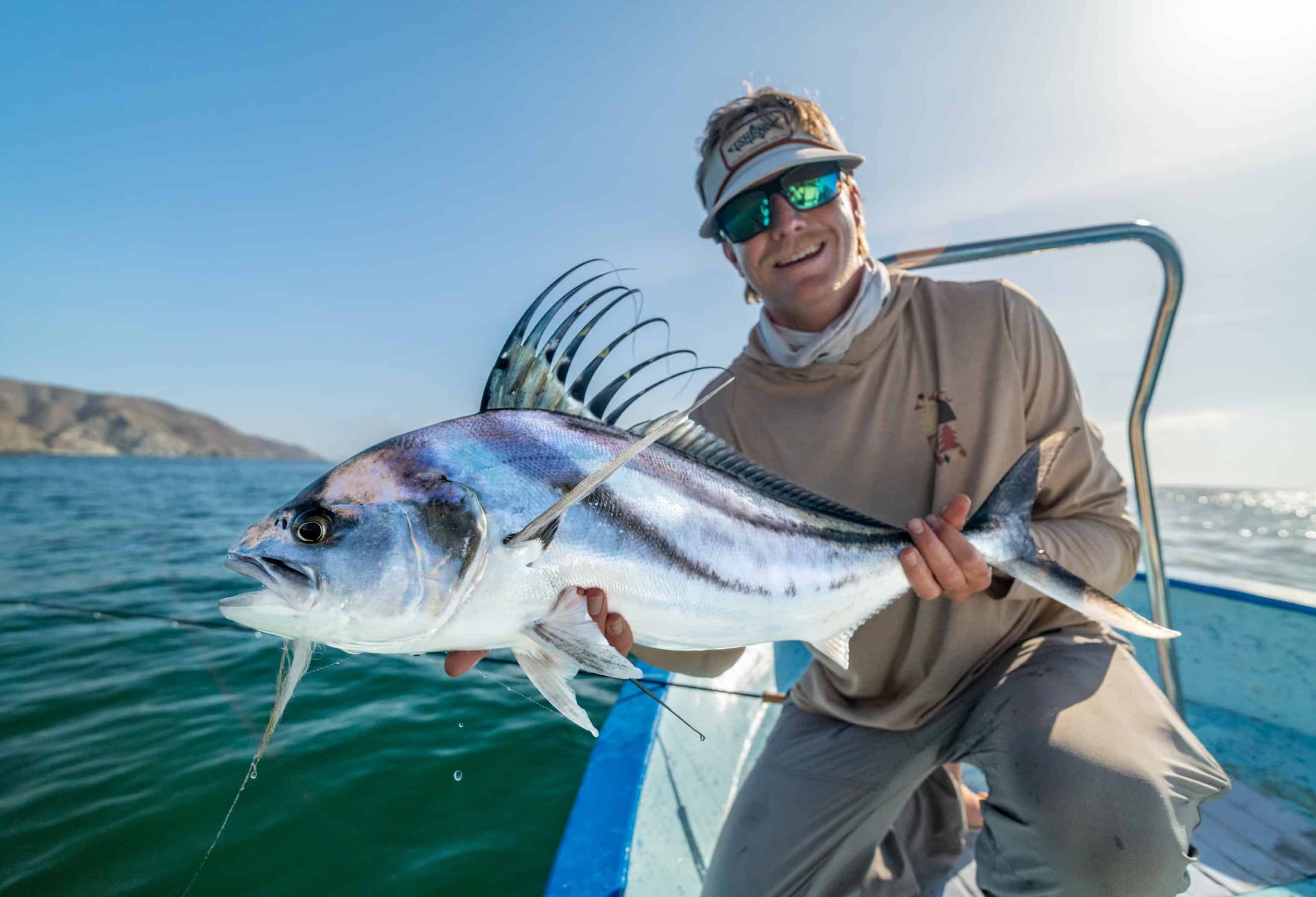 baja roosterfish
