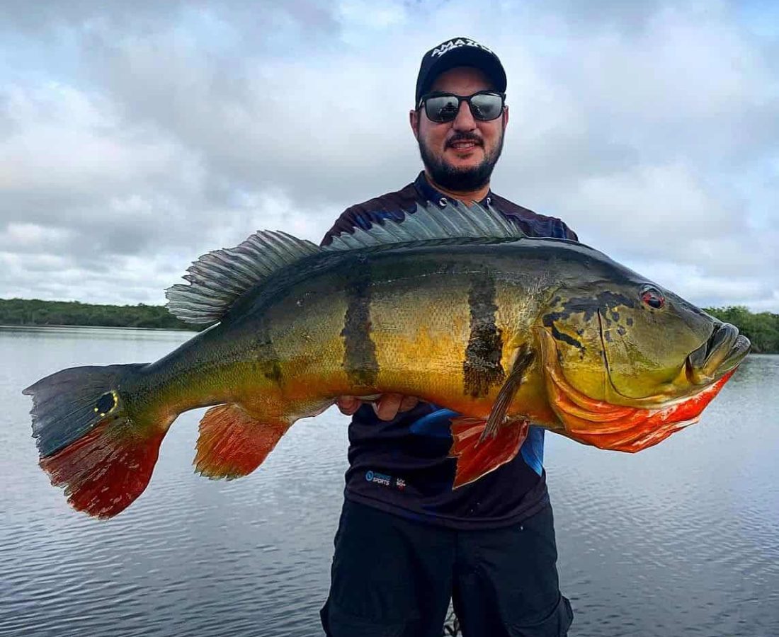 Peacock Bass fishing at Amazon Xplor Lodge in Brazil