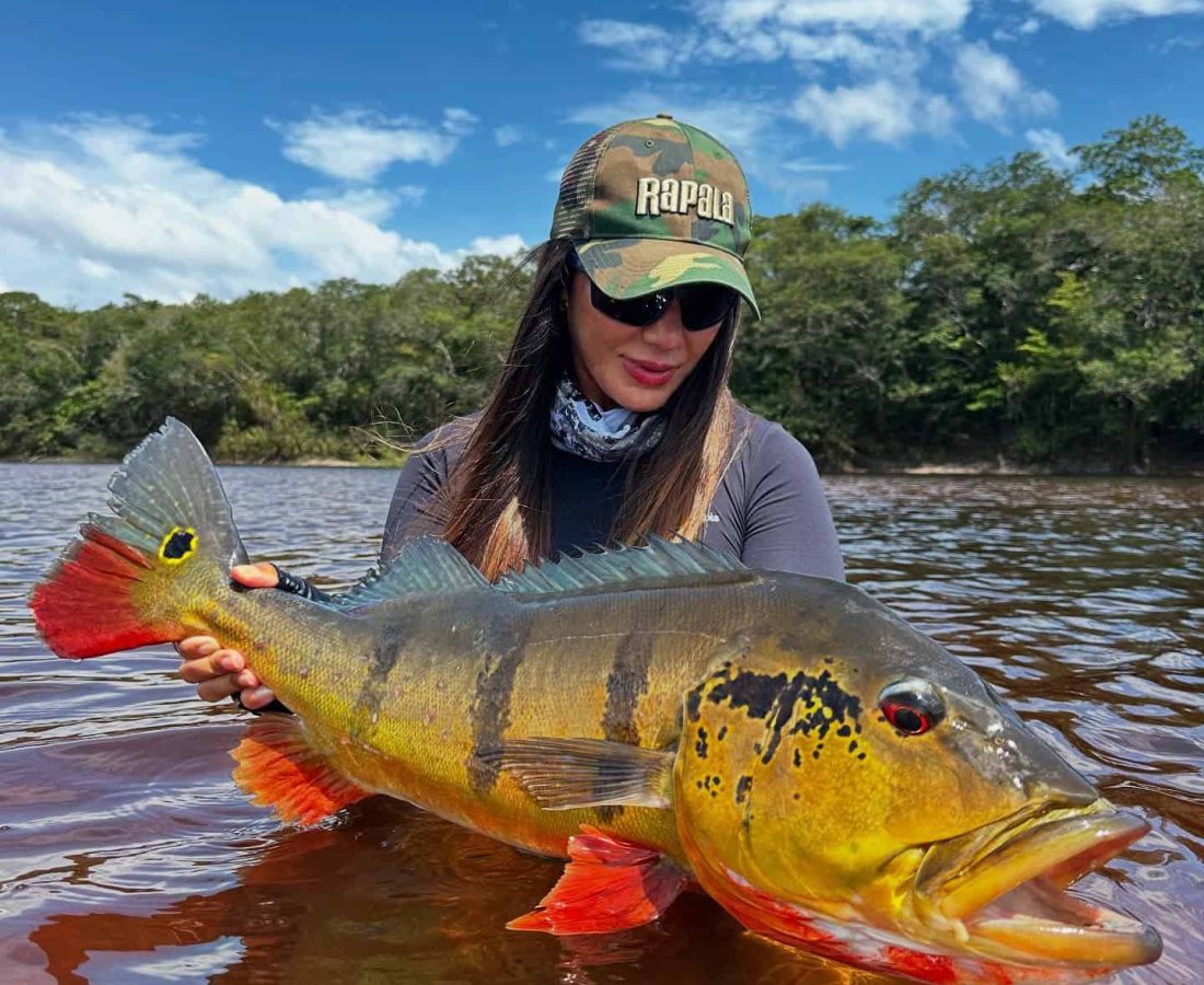 Rio Negro Peacock Bass Fishing