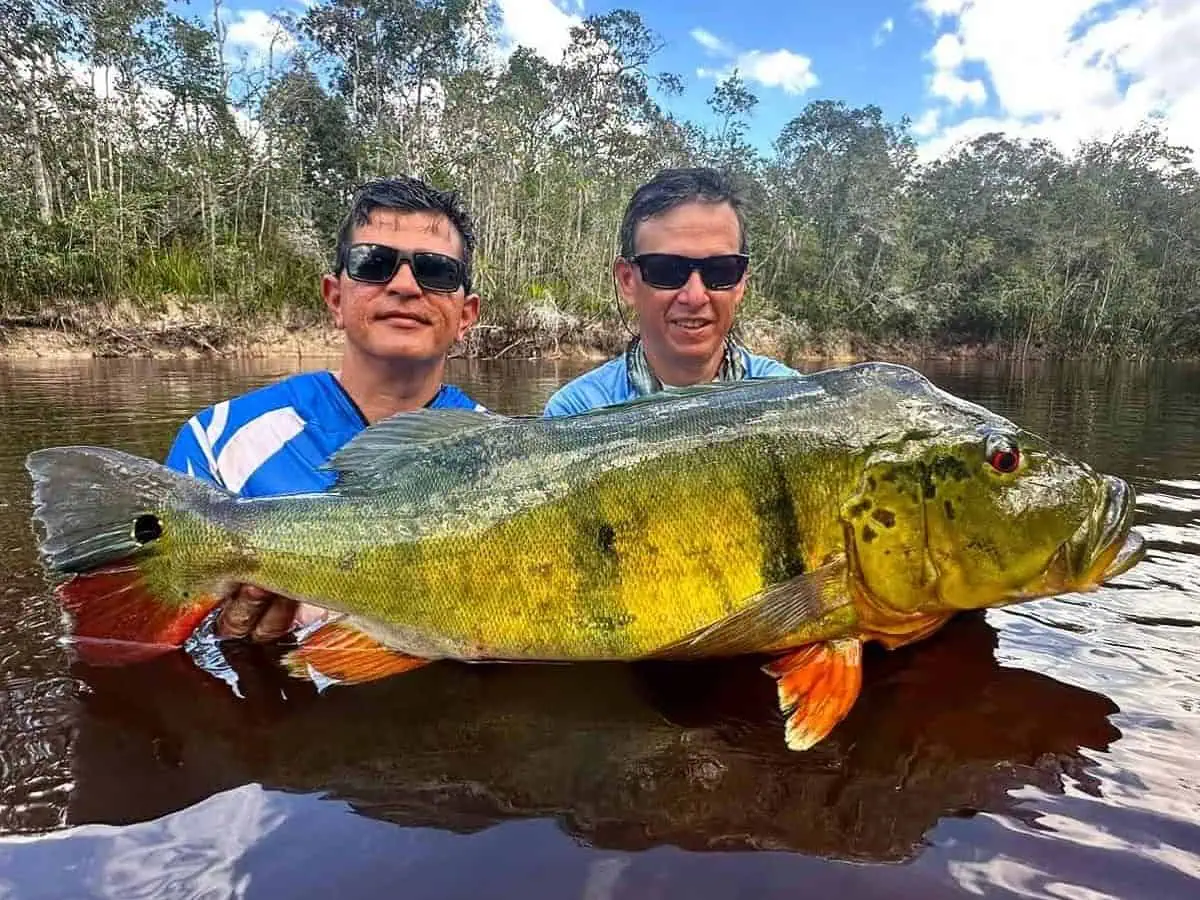 Amazon Fishing Trips