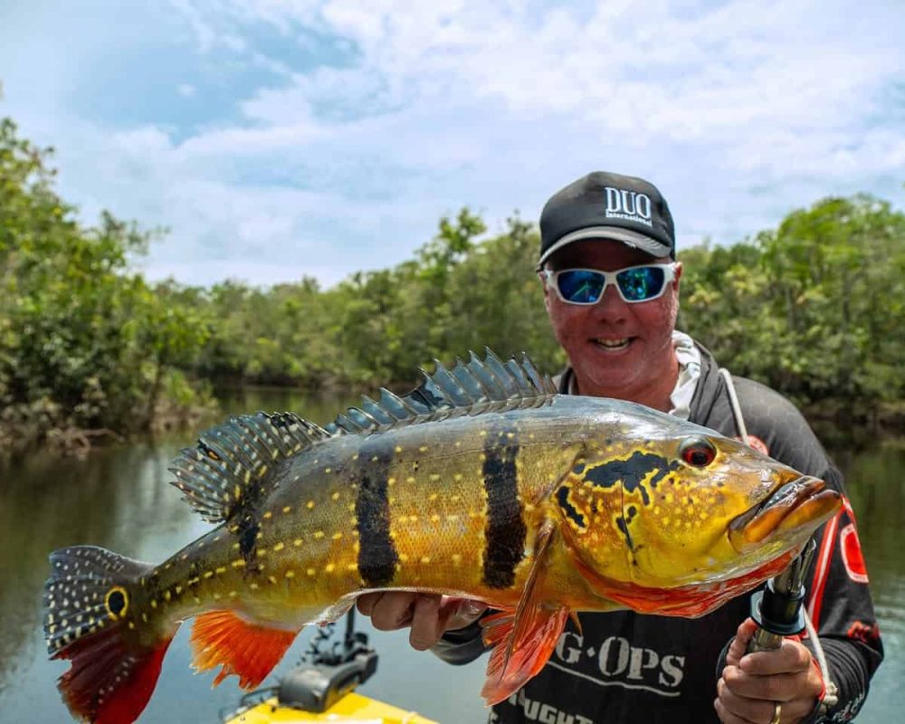 Peacock Bass fishing on the Rio Negro in Brazil