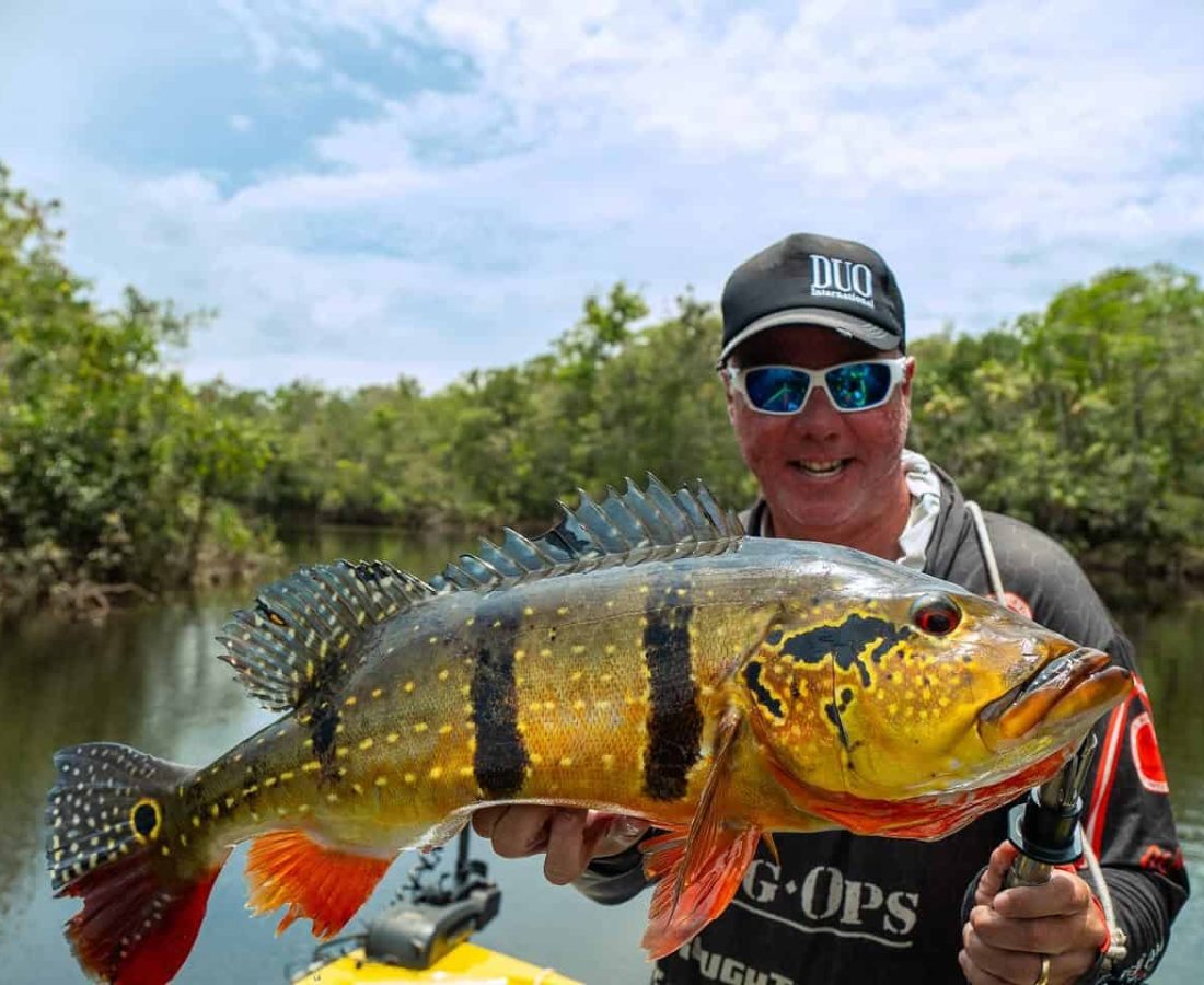 Peacock Bass fishing on the Rio Negro in Brazil