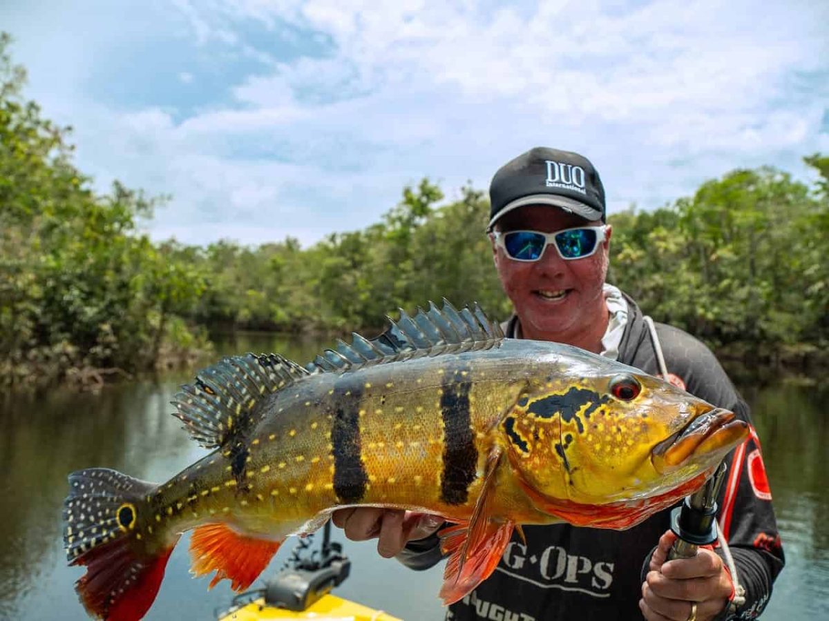 Peacock Bass fishing on the Rio Negro in Brazil