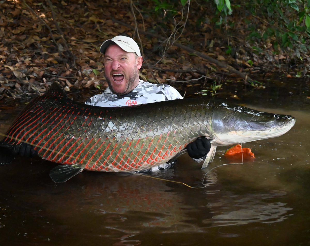 Jungle Fishing Camp