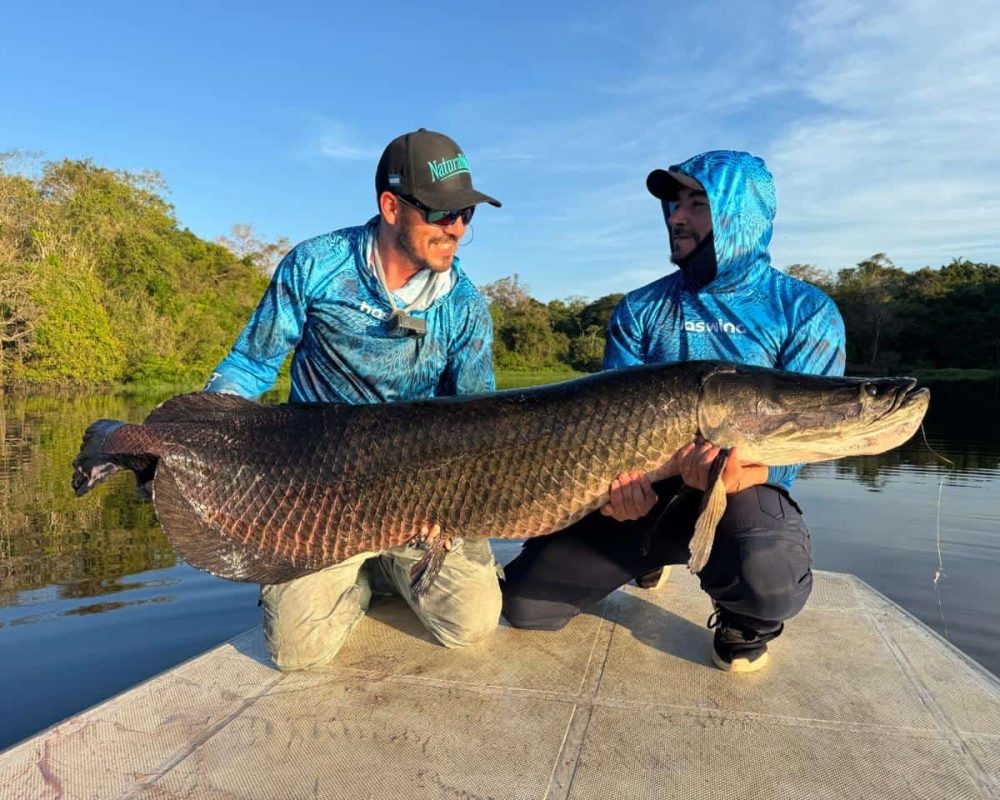 Arapaima fishing in Bolivia